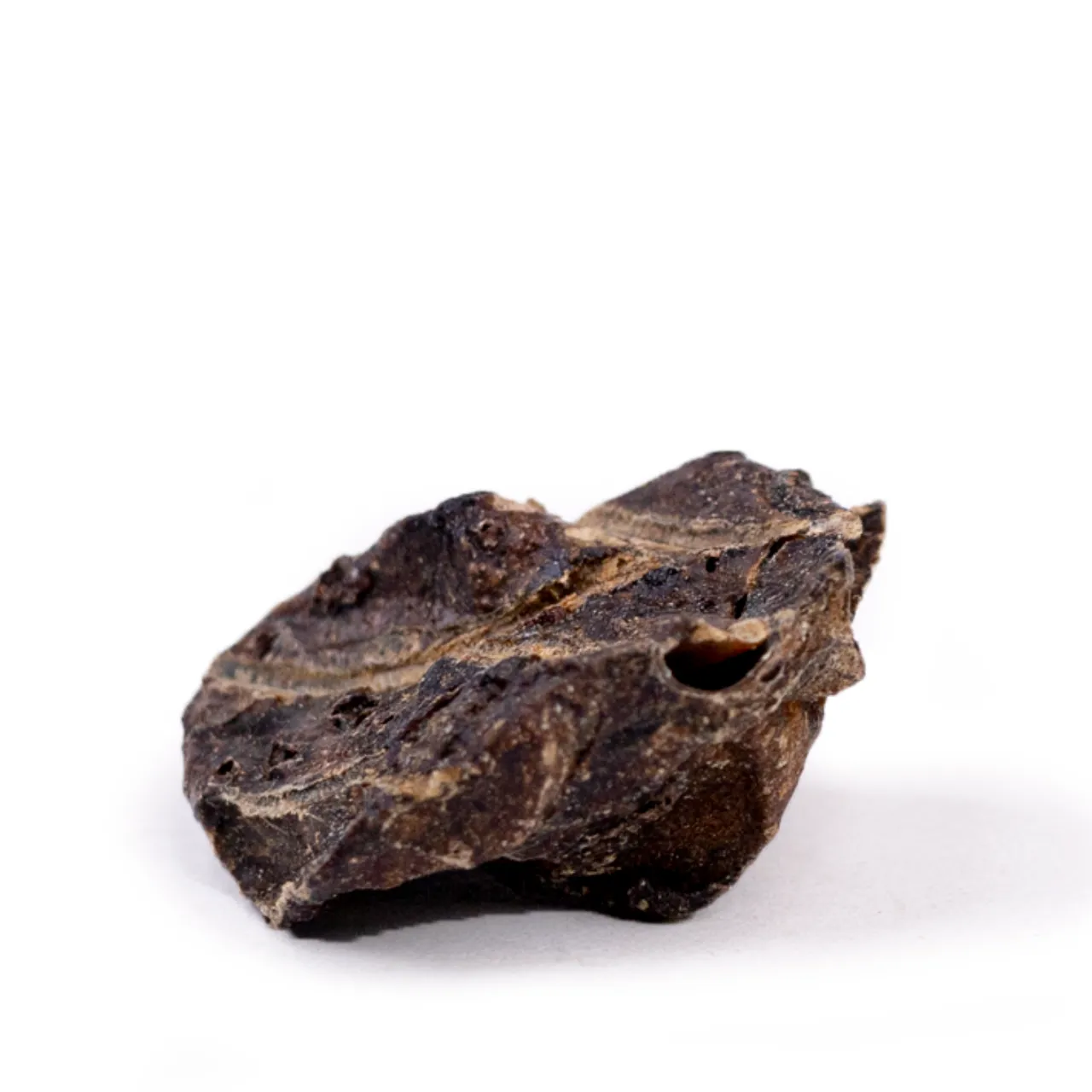 Snackit Lammelungeterninger 100 g - hundesnacks af lam